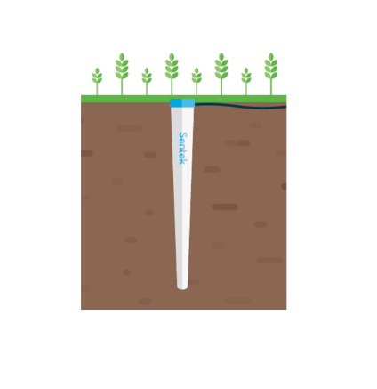 Sonda Drill & Drop - Monitoreo Preciso de Humedad, Salinidad y Temperatura del Suelo
